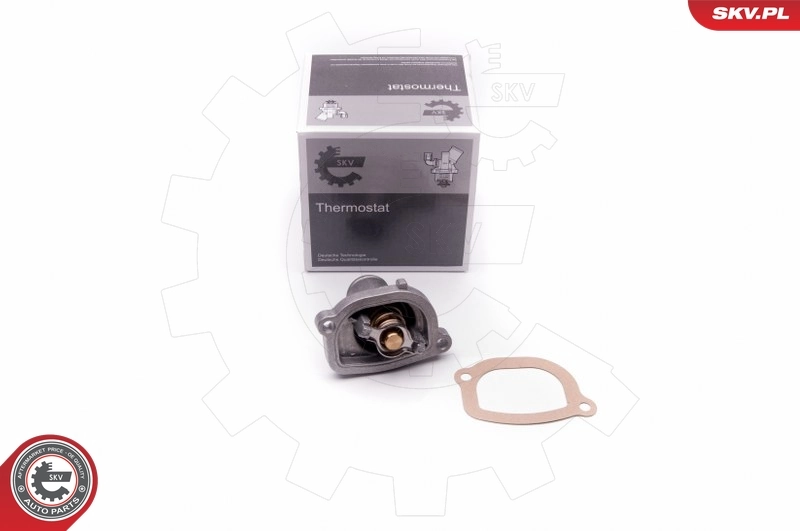 Thermostat, coolant